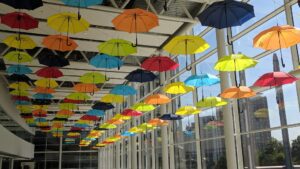 a picture of multicoloured umbrellas